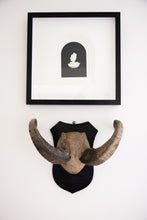 Load image into Gallery viewer, Unique Horn with Wooden Wall Mount