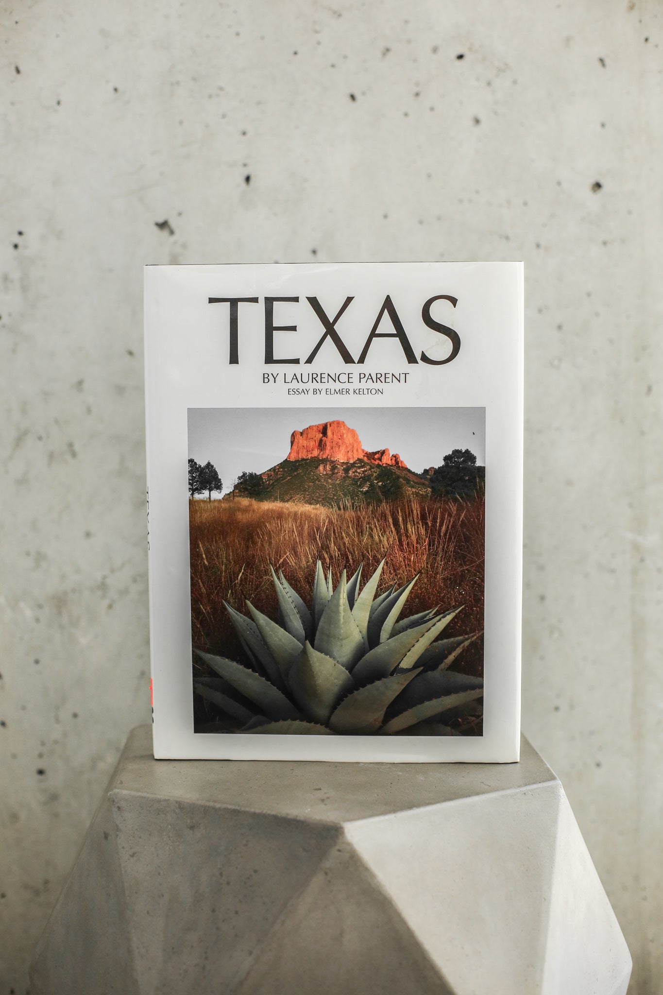 Texas Coffee Table Book Young At Hart Vintage