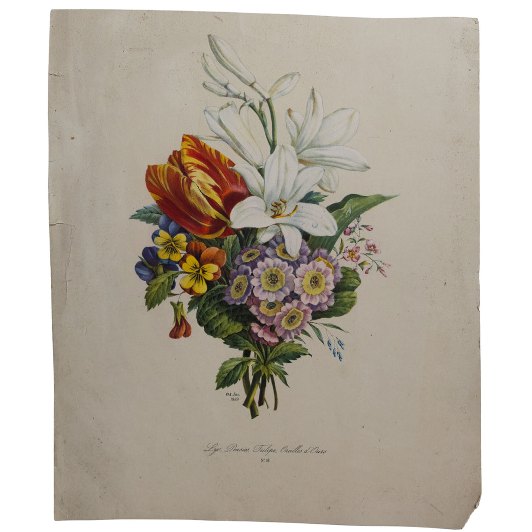 1939 Vintage Botanical Floral Print – Plate No.18
