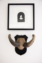 Load image into Gallery viewer, Unique Horn with Wooden Wall Mount
