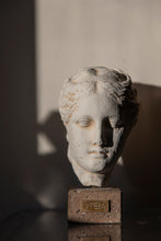 Load image into Gallery viewer, YFEIA Classical Plaster Head Sculpture
