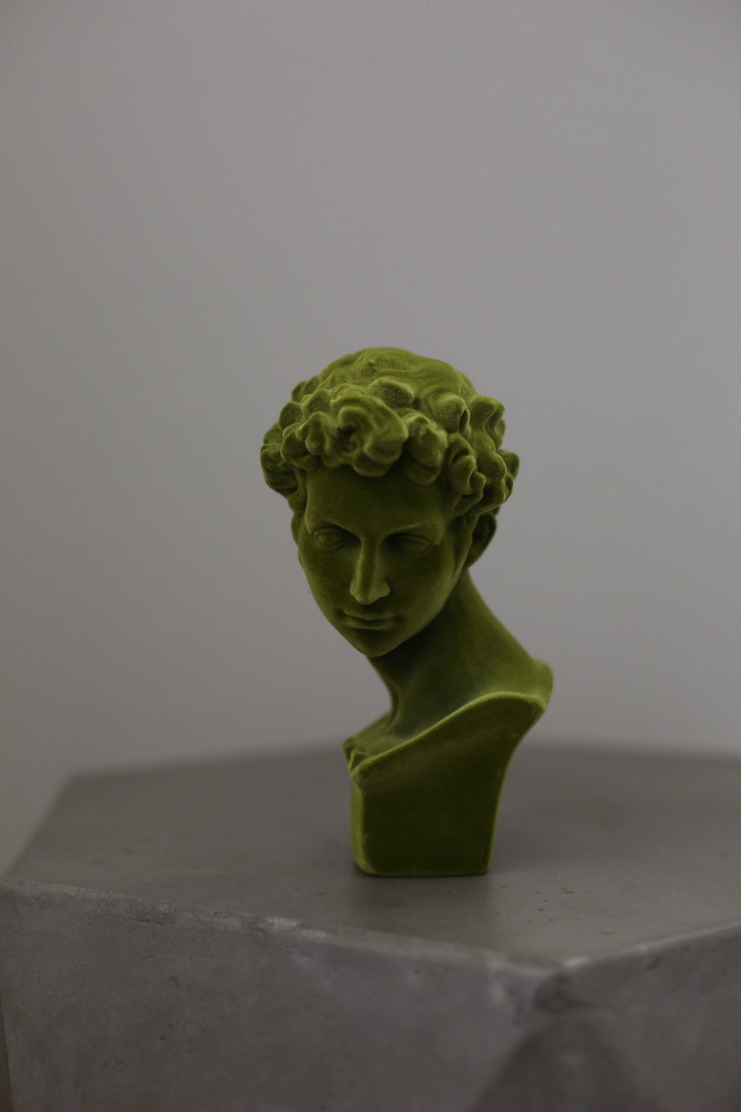 Green Velvet Bust